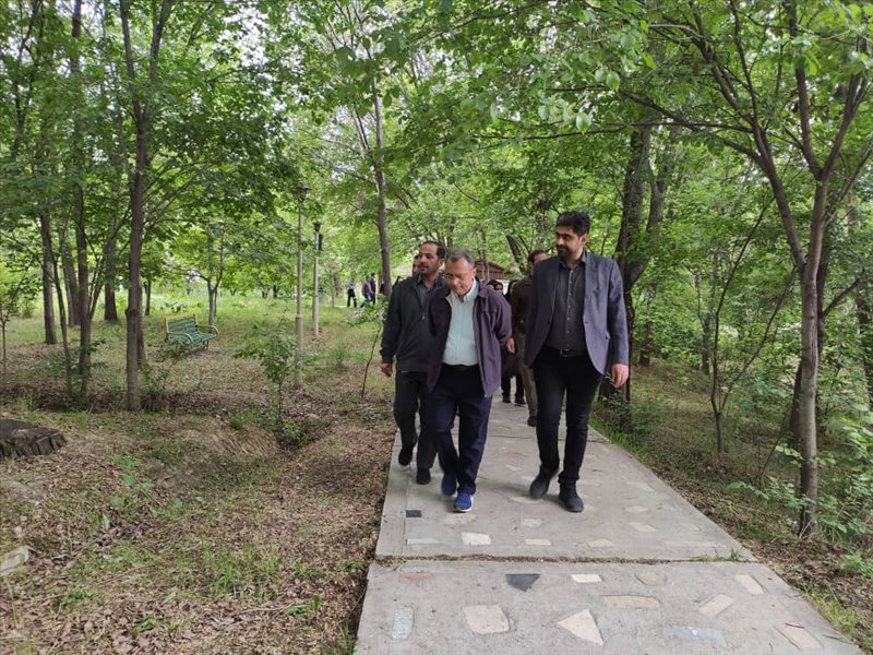 پیاده روی صبحگاهی