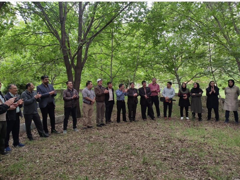 پیاده روی صبحگاهی