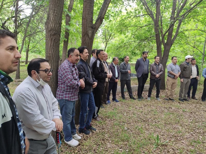 پیاده روی صبحگاهی