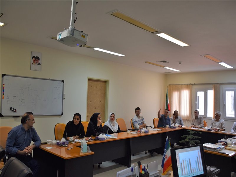 گروه ارتوپدی