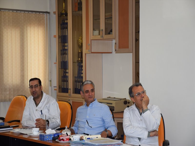 گروه ارتوپدی