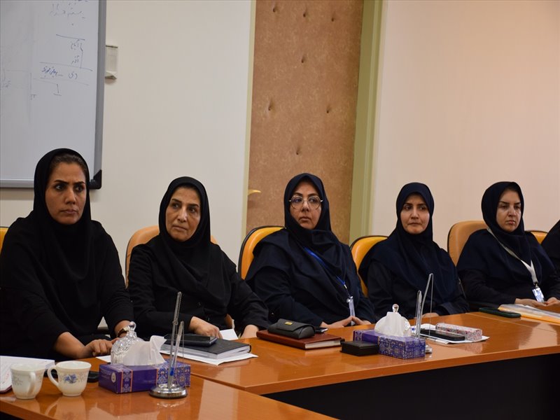 نشست سوپروایزرین 2