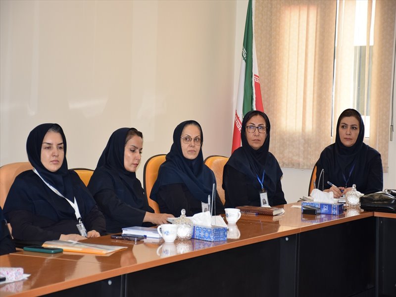 نشست سوپروایزرین 2