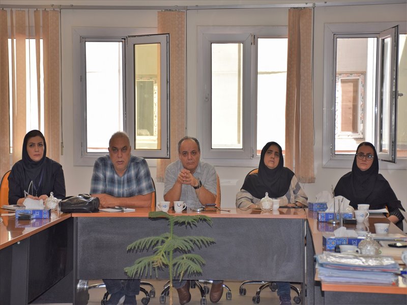 نشست سوپروایزرین 2