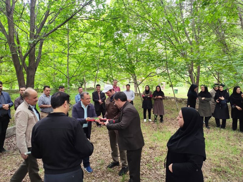 پیاده روی صبحگاهی