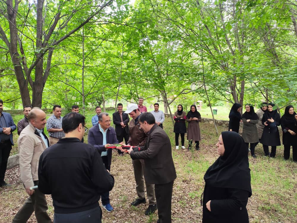 پیاده روی صبحگاهی